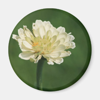 imán de flor blanca