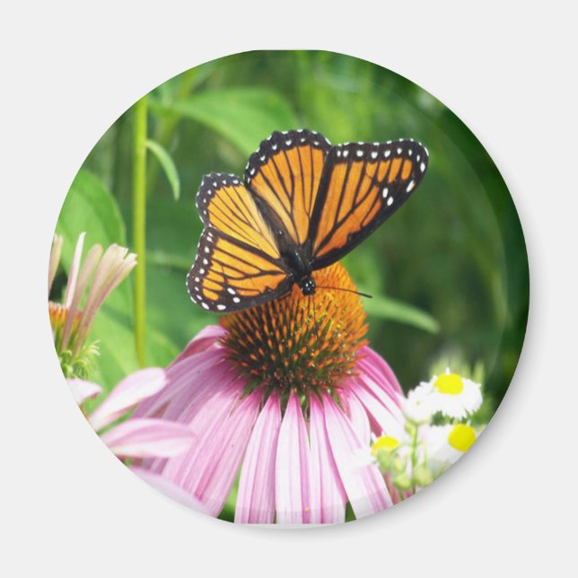 Imán de flor de cono de mariposa (Frente)