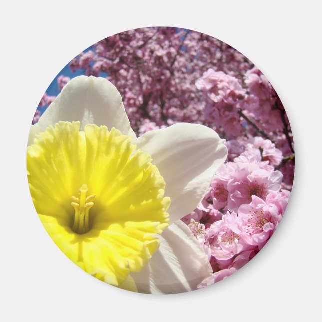 Imán de flor de narciso amarillo Flores de árbol r (Frente)
