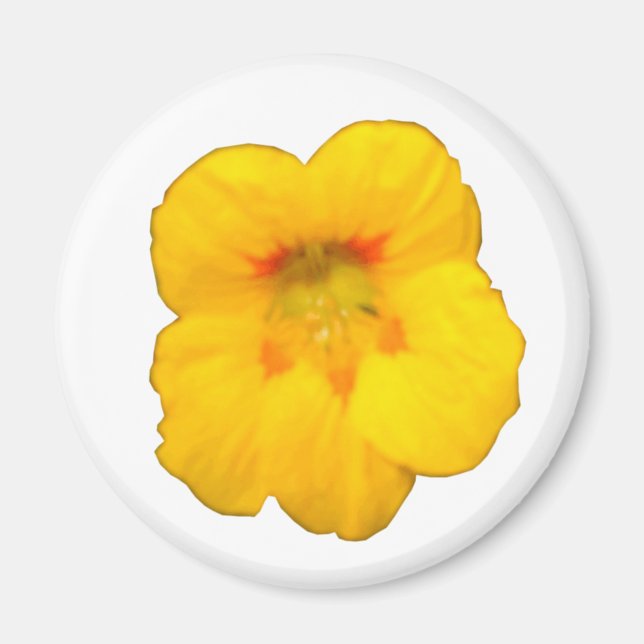 Imán de flor de nasturcio amarillo brillante (Frente)