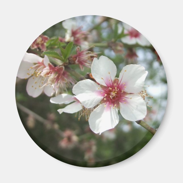 Imán de flor en flor (Frente)