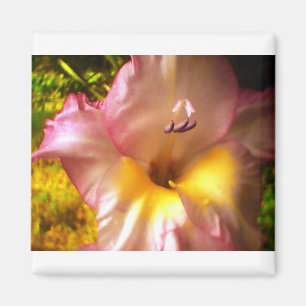 Imán de flor rosa en flor