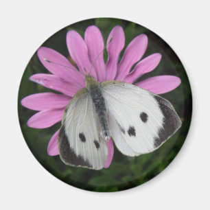 Imán de flor rosa y mariposa