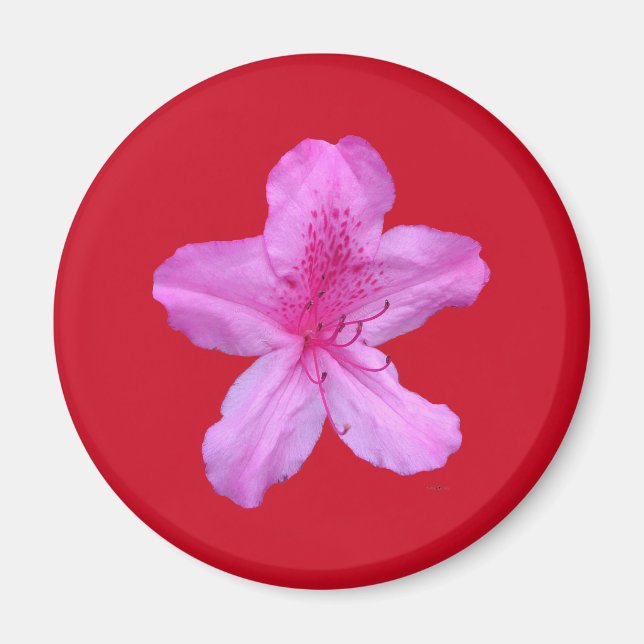 Imán de flores (Frente)