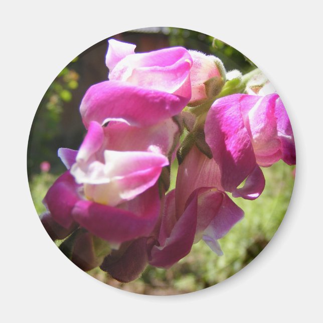 Imán de flores (Frente)
