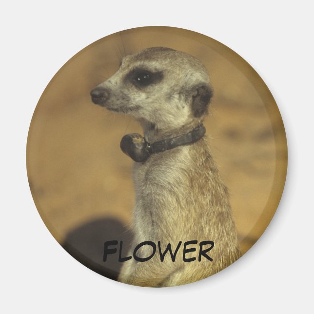 Imán de flores (Frente)