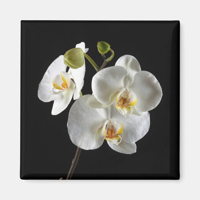 Imán de flores (Frente)