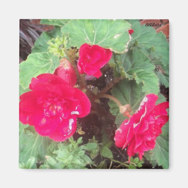 Imán de flores (Frente)