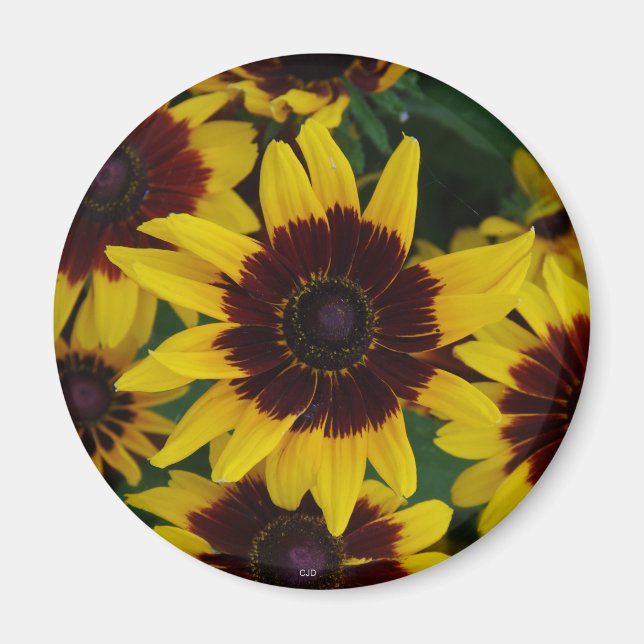 Imán de flores amarillas marrones (Frente)