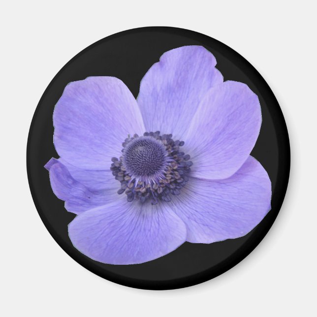 Imán de flores anémónicas azules (Frente)