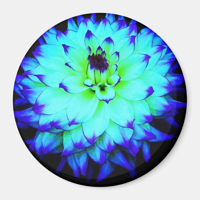 Imán de flores azules (Frente)