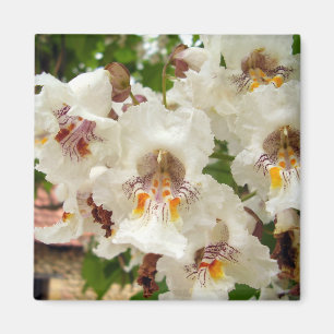 Imán de flores de árbol de Bean indio
