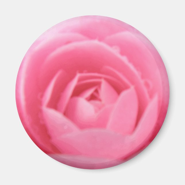 Imán de flores de camellia rosa bonito (Frente)