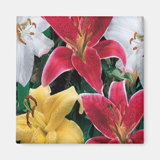 Imán de flores de colores