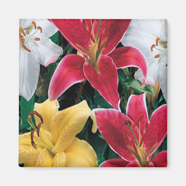 Imán de flores de colores (Frente)