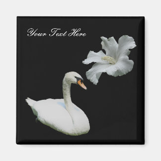 Imán De Flores De Hibiscus De Cisne Y Blanco