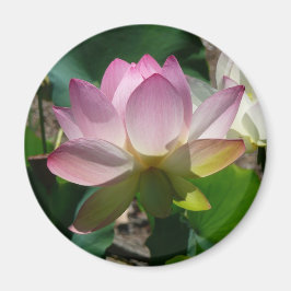 Imán de flores de Lotus