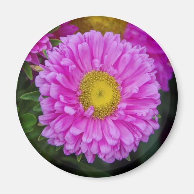 Imán de flores de Matsumoto (Frente)