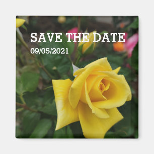 Imán de flores de rosa amarillo