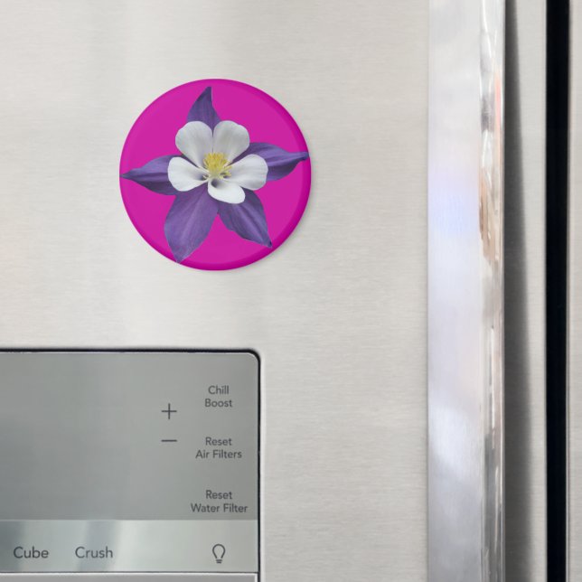 Imán de flores en blanco y púrpura de Columbina (In situ (nevera))