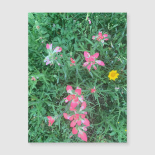 Imán de flores mixtas