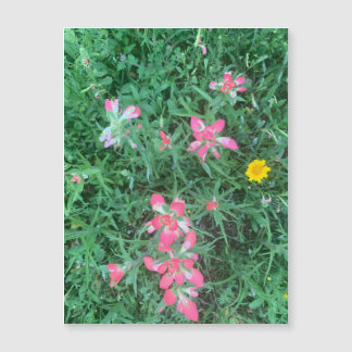 Imán de flores mixtas