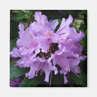 Imán de flores moradas