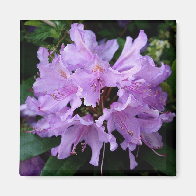 Imán de flores moradas (Frente)