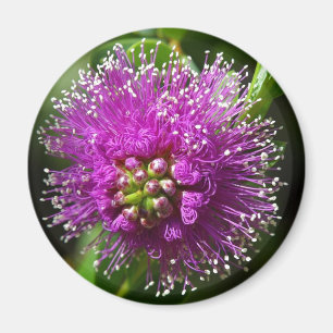 imán de flores moradas