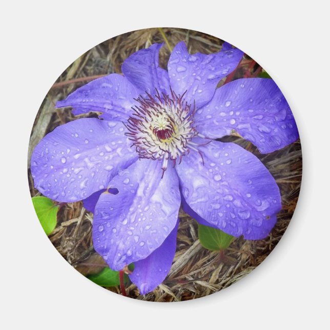 Imán de flores moradas (Frente)