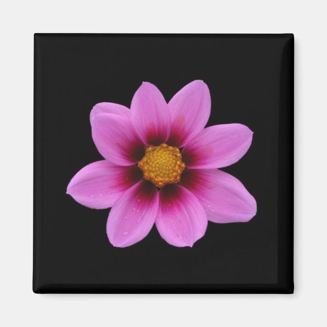 Imán de flores rosadas (Frente)