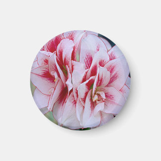 Imán de flores rosas