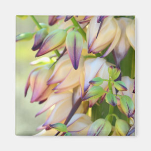 imán de flores yucca