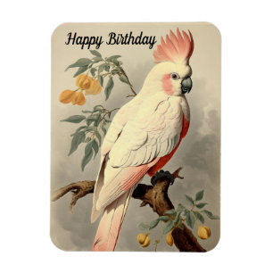 Imán de foto de cumpleaños de pájaro tropical