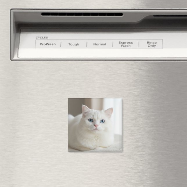 Imán de foto de gato blanco personalizado para nev (In situ (lavavajillas))