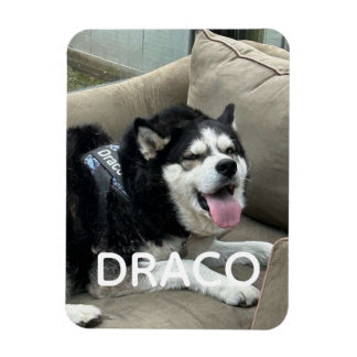 Imán de foto de perro personalizado con nombre - P