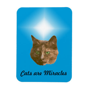 Imán de Foto - Los Gatos son Milagros