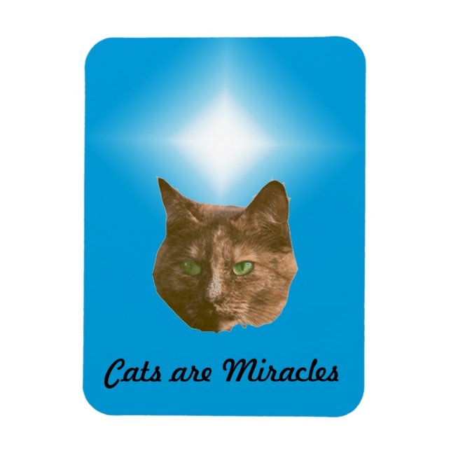 Imán de Foto - Los Gatos son Milagros (Vertical)