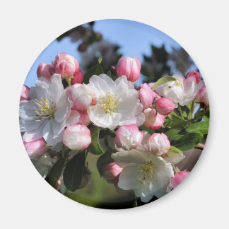 Imán de fotografía de flor de florecientes floreci