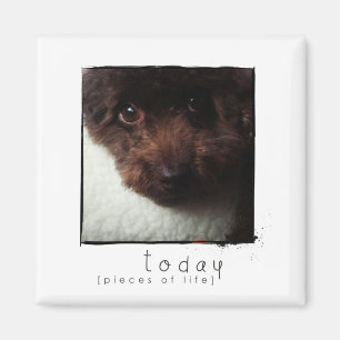 imán de fotos de amigos de instagram