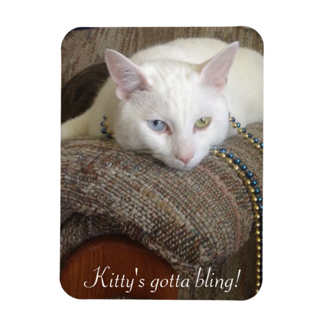 imán de fotos de Kitty Bling (Vertical)