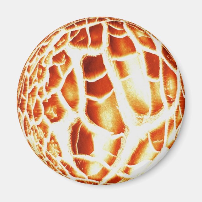 Imán de fotos de Sun (Frente)