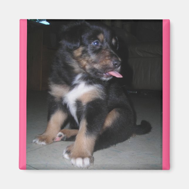 Imán de frambuesa (Frente)