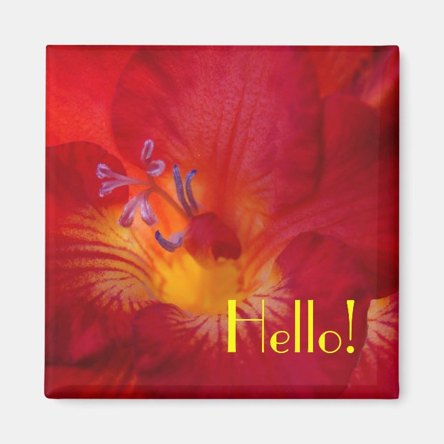 Imán de Freesia Hello! (Frente)