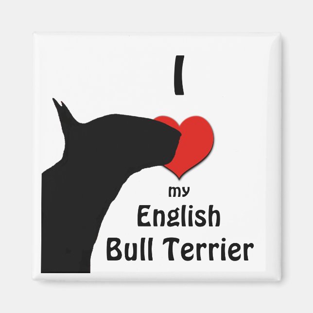 imán de frigorífico de bull terrier inglés (Frente)