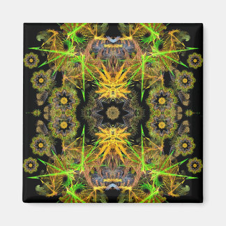 imán de frigorífico de fractalkan