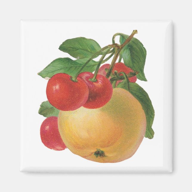 Imán de frutas de época (Frente)