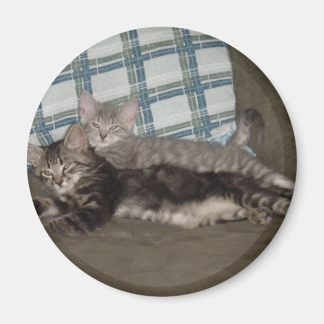 imán de gatito tired (Frente)