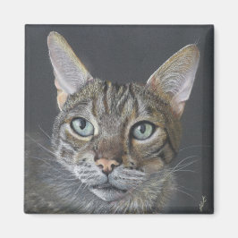Imán de gato Bengalí