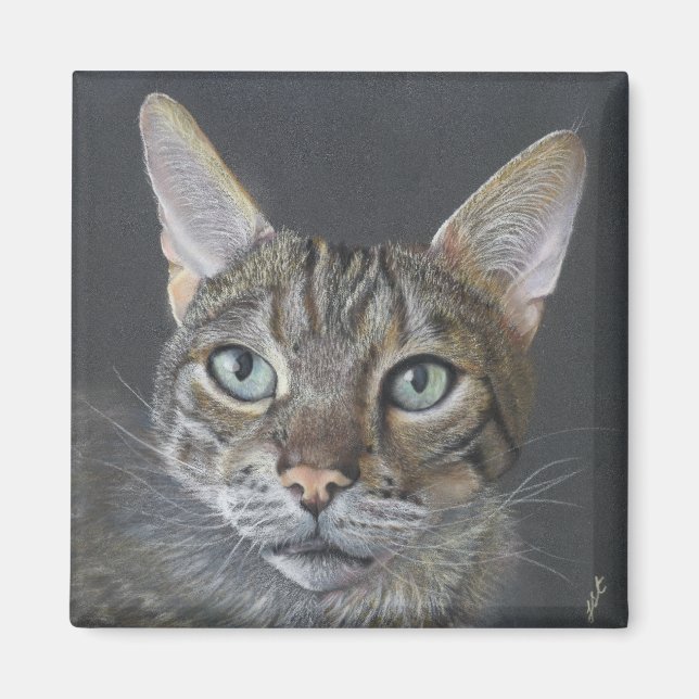 Imán de gato Bengalí (Frente)